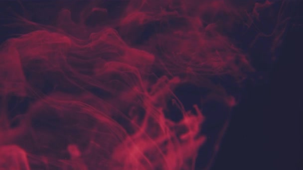 Abstract red Ink flowing in water — Stock Video