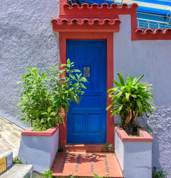 Parede branca velha vintage, porta azul profunda e plantas, Rio de Janeiro, Brasil — Fotografia de Stock