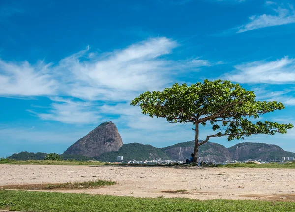 Sedící muž ve stínu stromu a Guanabara Bay s Sugarloaf Mountain na pozadí, Rio de Janeiro — Stock fotografie