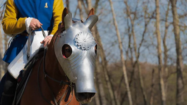 Head of Armored Warhorse in profile wearing chanfron on it's muz — Stock Photo, Image
