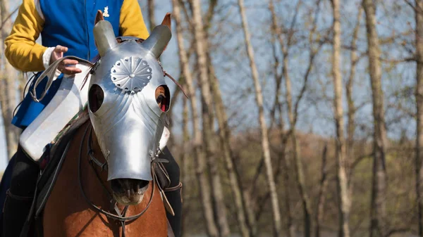 Cheval de guerre blindé portant chanfron sur son museau et nœud médiéval — Photo