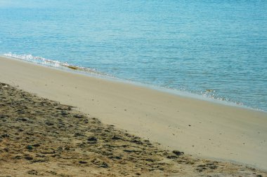 dalgalanma sahile vurdu 