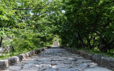 Ağaç kapak taş yolu tüneli 