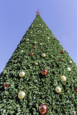 Mavi gökyüzü ile uzun boylu Noel