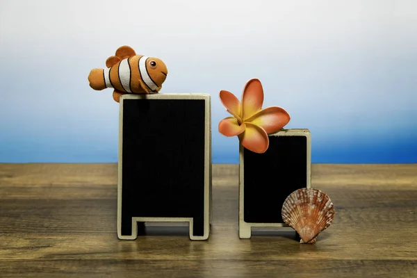 Blank Promotion Board Clown Fish Sea Shell Flower — Stock Photo, Image