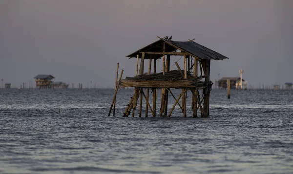 Altes Holzhaus Ohne Fenster Und Tür Meer Mit Zwei Steintauben — Stockfoto