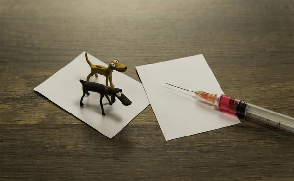 用一根注射针在空白纸上建两条狗模型 — 图库照片