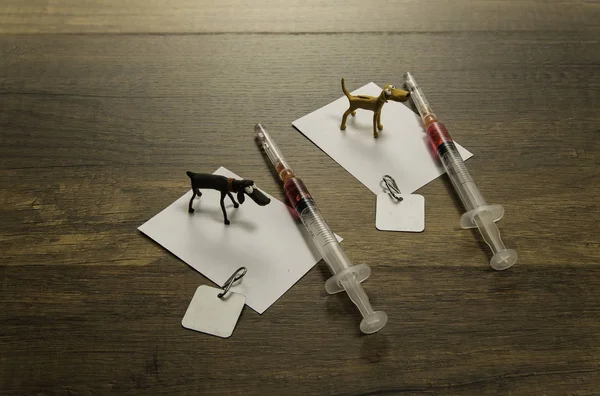 Zwei Musterhunde Auf Weißem Papier Mit Tollwutimpfstoffen Und Zwei Etiketten lizenzfreie Stockfotos