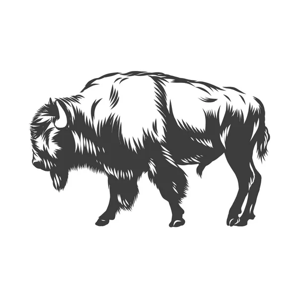 Amerikanska buffalo inked vektor Stockillustration