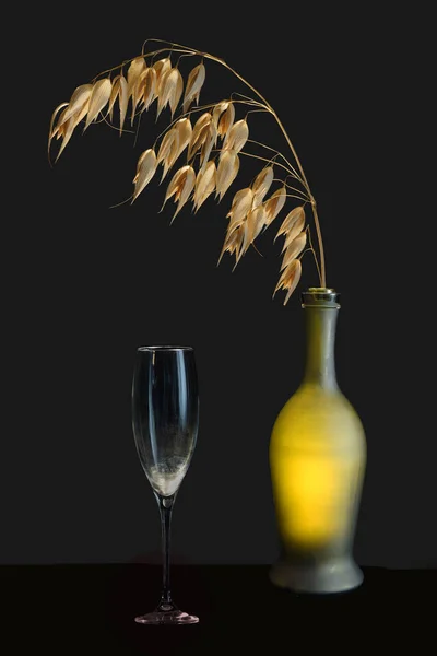 Still Life Vase Dry Spikelet Oats Empty Glass — Stock Photo, Image