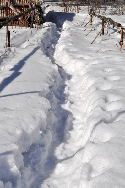 Trilha Março Neve Caminho Floresta Para Casa Campo — Fotografia de Stock