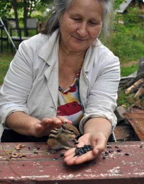 Vahşi ama arkadaş canlısı bir sincap tarafından bir sonraki ziyaretimizde ormandaki kır evindeki arkadaşlarına...