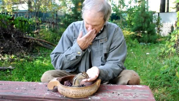 影片的作者在下一次参观森林中的一座乡村住宅时 与一只野生的花栗鼠一起玩耍 — 图库视频影像