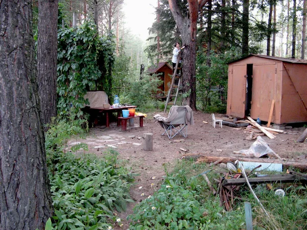 Trabalho Contínuo Uma Casa Verão Uma Floresta Perto Tomsk Sibéria — Fotografia de Stock