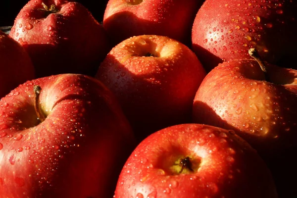 Pommes Rouges Avec Gouttes Eau Gros Plan Photos De Stock Libres De Droits