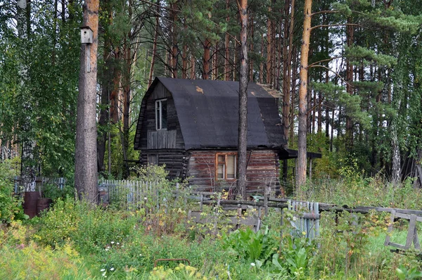 Ormandaki Eski Kır Evi — Stok fotoğraf