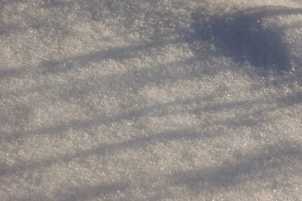 Superfície Nevada Com Sombra Noite Grama — Fotografia de Stock