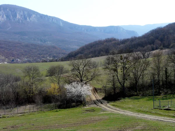 Kırım Dağı Nda Sonbahar Manzarası — Stok fotoğraf