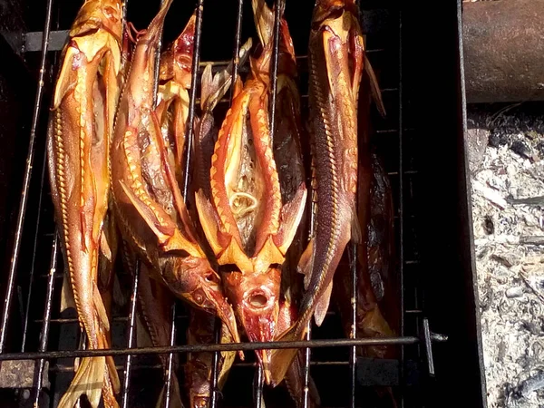 Matlagning Varmrökt Sterlet Utomhus Hemmagjord Apparat — Stockfoto