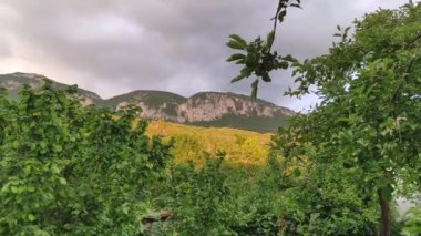 Kırım yarımadasının dağlık kesiminde yaz manzarası