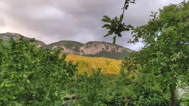 Summer Landscape Mountainous Part Crimean Peninsula — Stock Video