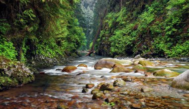 Lynn Kanyonu creek