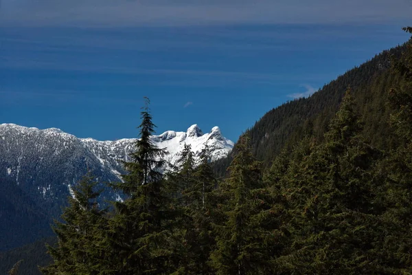 Pohled na vrcholky lvi z Grouse Mountain — Stock fotografie