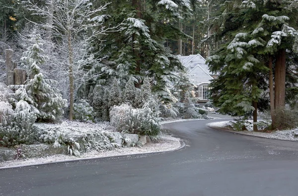 雪に覆われた森の家 — ストック写真