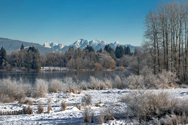 Die Winterlandschaft — Stockfoto