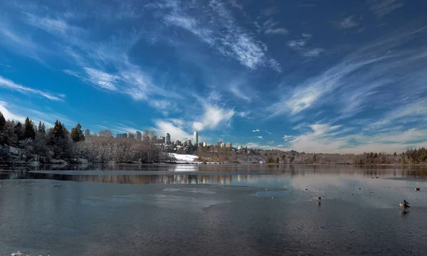 Zima Krajobraz Jezioro Jeleń Pokrytych Śniegiem Drzew Krzewów Brzegu Jeziora — Zdjęcie stockowe