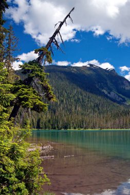 Güzel Kanada dağ gölü, Trail manzaraya alt Joffre göl güzel turkuaz su dağ tepe ve bulutlu gökyüzü arka plan.