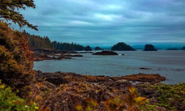 Ucluelet yakınlarındaki batı kıyısı Vancouver Adası, British Columbia Kanada Bulutları, Ucluelet 'teki vahşi pasifik patikasında engebeli kıyı şeridi