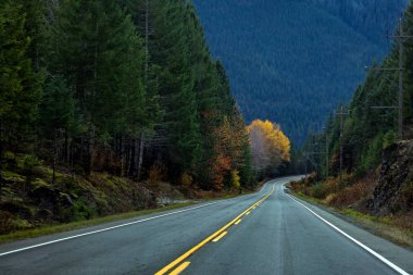 Vancouver Adası 4. Otoyolu. Alberni Limanı 'ndan Pasifik Sahili' ne, Tofino ve Ucluelet 'e giden dağ yolu.