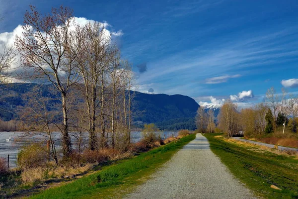 Frühlingssonniger Tag Pitt Valley Wanderweg Zwischen Fluss Und Straße Grünes — Stockfoto