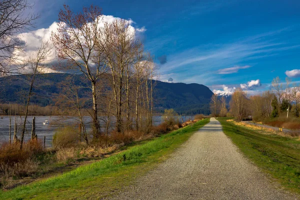 Frühlingssonniger Tag Pitt Valley Wanderweg Zwischen Fluss Und Straße Grünes — Stockfoto