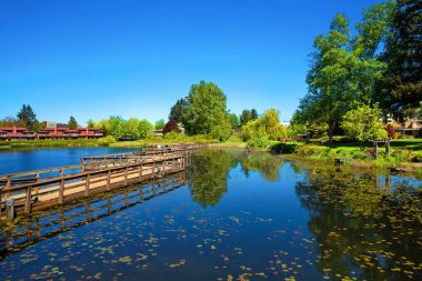 A beautiful lake in a residential area of Abbotsford, covered with water lilies, a wooden bridge over the lake and a village of townhouses  on the shore against a blue sky clipart