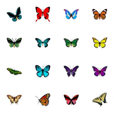 Gerçekçi Checkerspot, Bluewing, Callicore Cynosura ve diğer vektör öğeleri. Güzel gerçekçi simgeler kümesi de Bluewing, gökyüzü, kelebek nesneleri içerir.