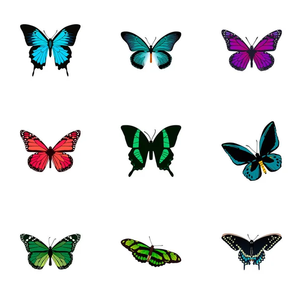 Realistiska skönhet flyga, Morpho Hekuba, Demophoon och andra Vector-element. Butterfly realistiska symboler innehåller även grön, blå, Peacock objekt. — Stock vektor
