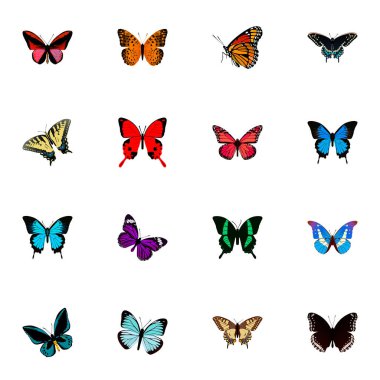 Gerçekçi kelebek, kaplan Swallowtail, güzellik sinek ve diğer vektör öğeleri. Kelebek gerçekçi simgeler kümesi de Bluewing, Hypolimnas, gökyüzü nesneleri içerir.