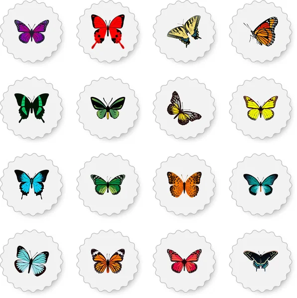 Realistic Monarch, Lexias, Papilio Ulysses And Other Vector Elements. Set Of Beauty Realistic Symbols Also Includes Moth, Blue, Bluewing Objects. — Stock Vector