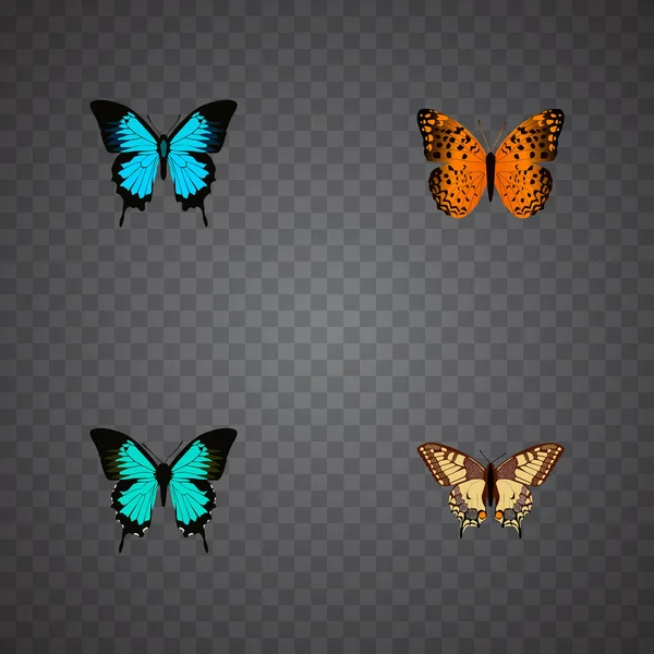 Realista Danaus Plexippus, Papilio Ulises, cobre y otros elementos vectoriales. Conjunto de símbolos realistas de polilla también incluye cola de golondrina, monarca, objetos azules . — Vector de stock