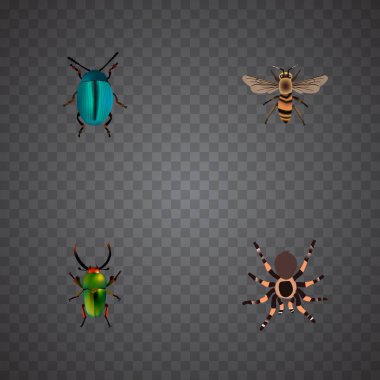 Gerçekçi Tarantula, böcek, böcek ve diğer vektör öğeleri. Hayvan gerçekçi simgeler kümesi de içerir Arachnid, yeşil, mavi nesneleri.