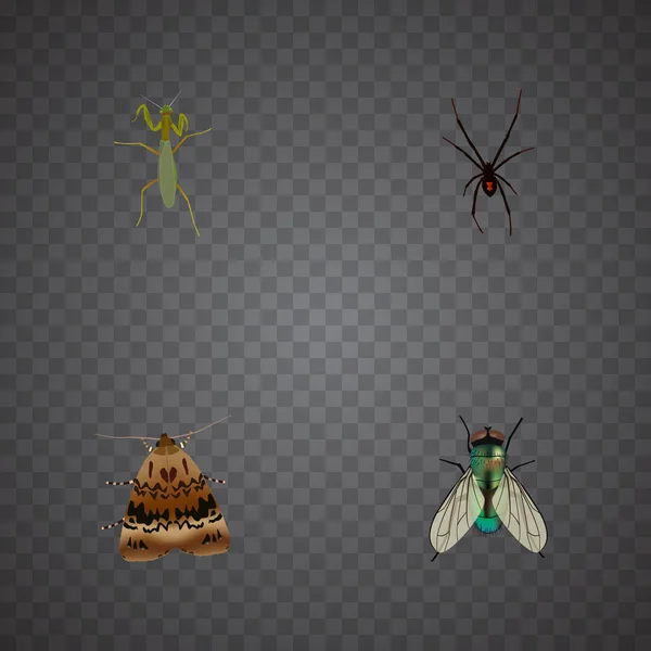 Realistische Schmetterling, Stubenfliege, Heuschrecke und andere Vektorelemente. Eine Reihe von bug realistischen Symbolen enthält auch Heuschrecken, Juwelen, Wespenobjekte. — Stockvektor