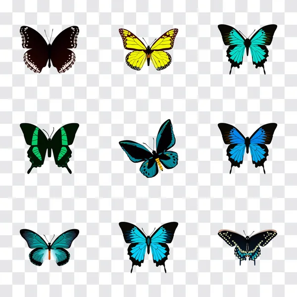 Realistic Beauty Fly, Demophoon, Archippus and Other Vector Elements (en inglés). Conjunto de hermosos símbolos realistas también incluye polilla, jalá, objetos de mariposa . — Vector de stock