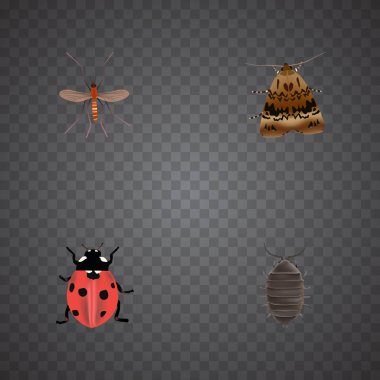 Gerçekçi kelebek, Dor, uğur böceği ve diğer vektör öğeleri. Ayrıca böcek, böcek, uğur böceği nesneleri içeren küme hata gerçekçi simgeler.