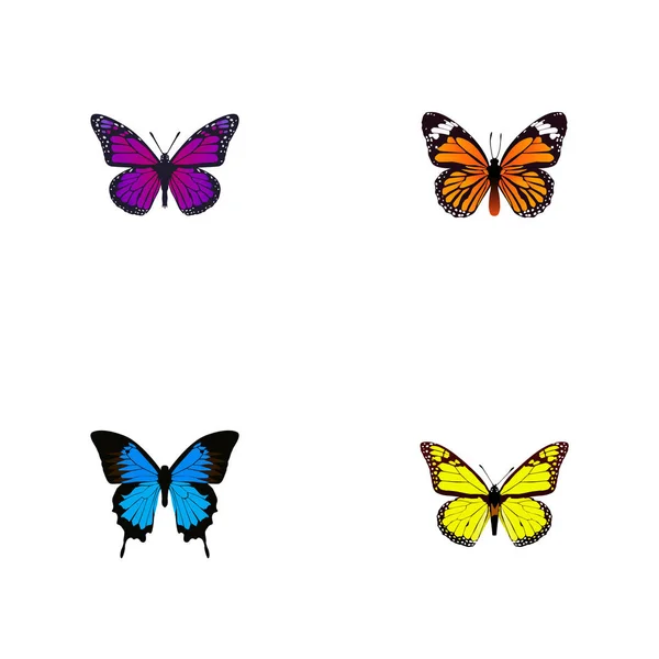 Monarca púrpura realista, azul común, archipo y otros elementos vectoriales. Conjunto de Símbolos Realistas de Polilla También Incluye Mariposa, Monarca, Objetos Naranjas . — Archivo Imágenes Vectoriales
