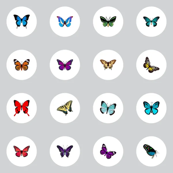 Realistische Lexika, Himmelstier, Checkspot und andere Vektorelemente. Set von Schmetterling realistischen Symbolen enthält auch Bläuen, fliegen, violette Objekte. — Stockvektor