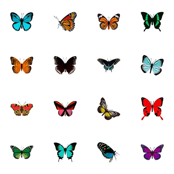 Realistic American Painted Lady, Lexias, Summer Insect and Other Vector Elements (en inglés). Conjunto de símbolos realistas de mariposa también incluye mariposa, Julia, objetos rojos . — Vector de stock