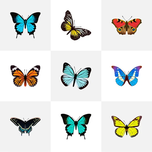 Realistisch amerikanisch gemalte Dame, Monarchin, Kupfer und andere Vektorelemente. Set von realistischen Schmetterlingssymbolen umfasst auch Bläulichkeit, Haarsträhne, blaue Objekte. — Stockvektor