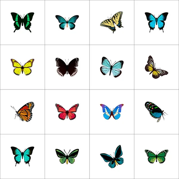 Realistische Papilioulysses, Sommerinsekten, Schönheitsfliegen und andere Vektorelemente. Set von schönen realistischen Symbolen enthält auch fliegen, grüne, gelbe Objekte. — Stockvektor